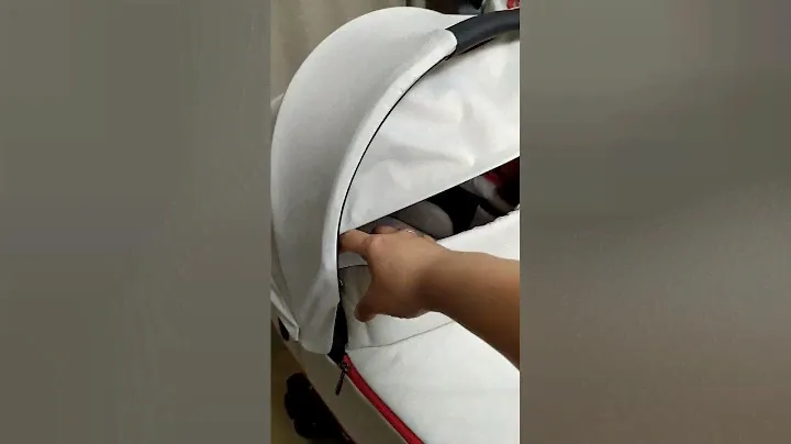 Коляска 2в1 Cybex Priam lll Ferrari silver 29.05.23