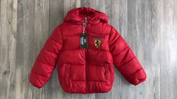 Куртка Феррари, Ferrari утепленная, сезон осень/весна